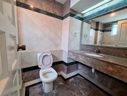 Symphony Heights (D21), Condominium #589297821
